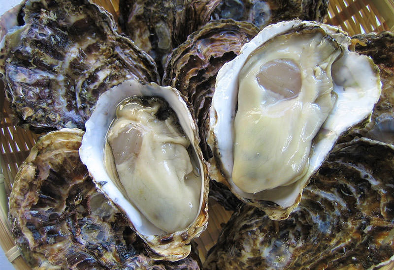 世良水産