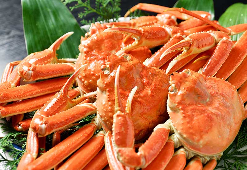 越前かに問屋 ますよね