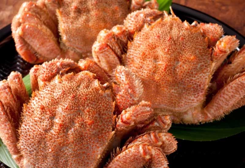 越前かに問屋 ますよね