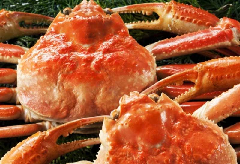 越前かに問屋 ますよね