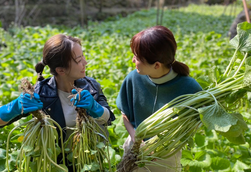 わさびの大見屋