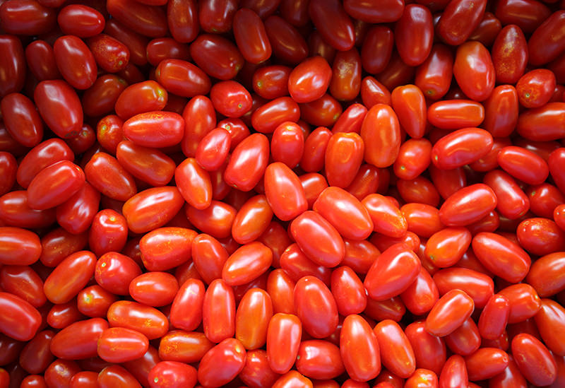 合同会社まえだ農園