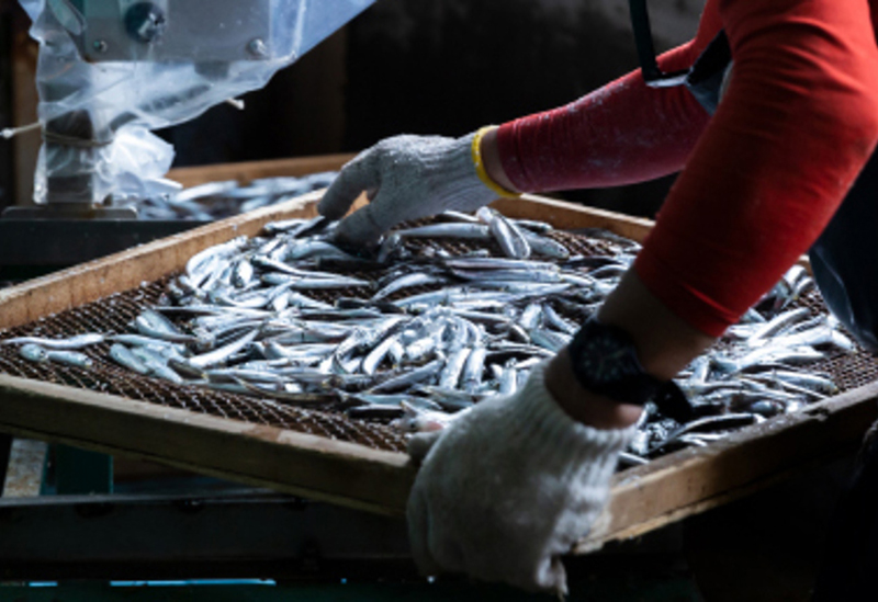 丸一乾物 Online shop