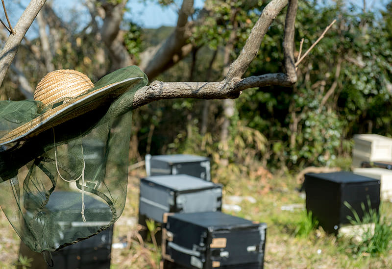 河村養蜂場