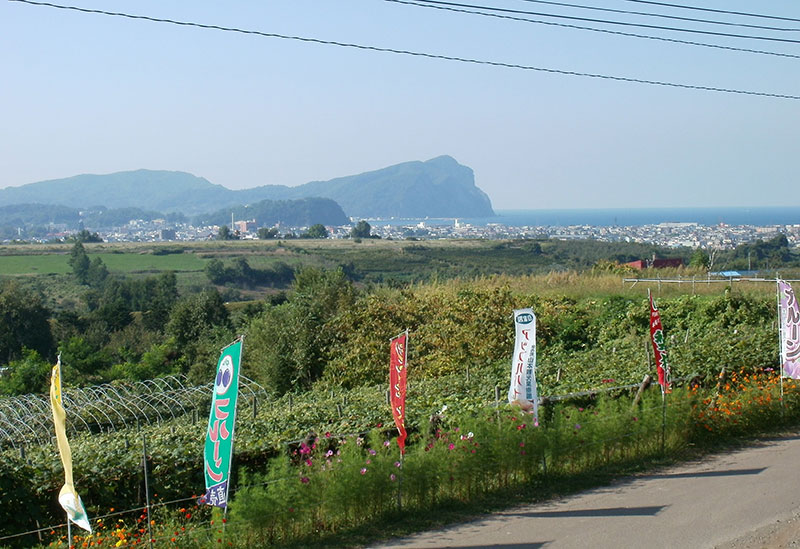 ニトリ観光果樹園