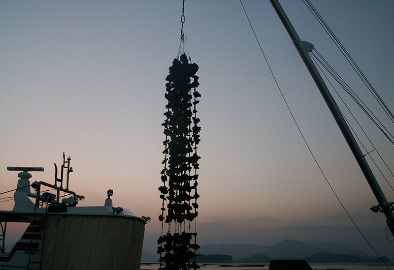 広島県漁業協同組合連合会