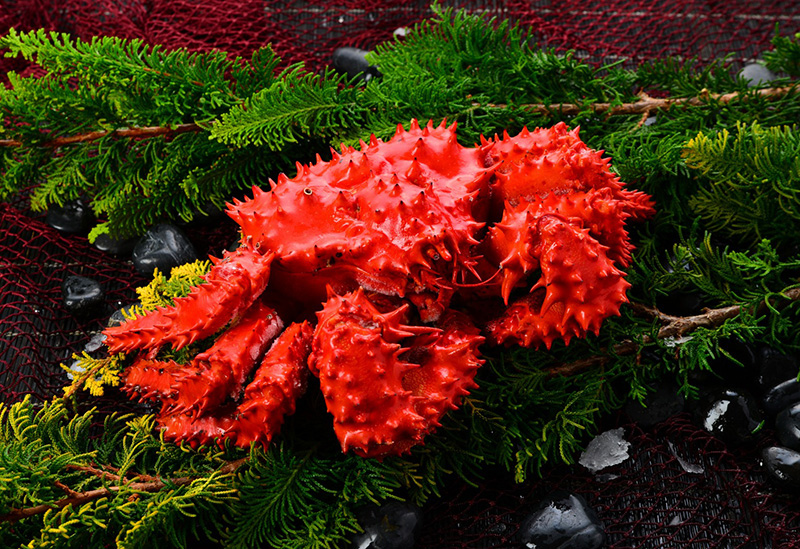 株式会社カネエイ英正水産