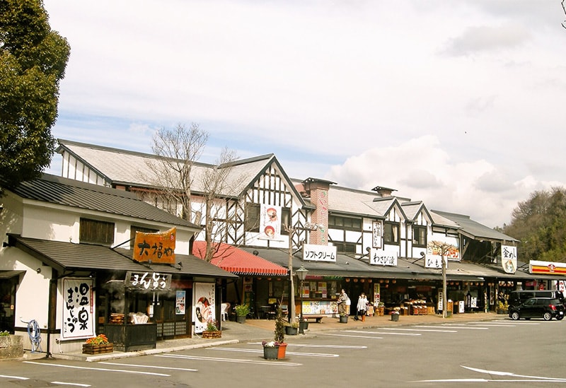 いちごプラザ 大福や