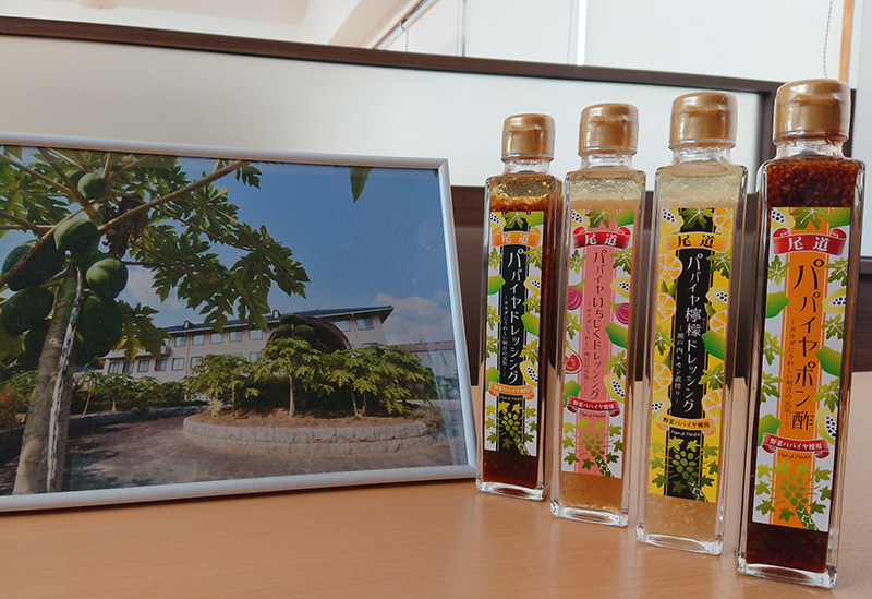 道の駅 クロスロードみつぎ