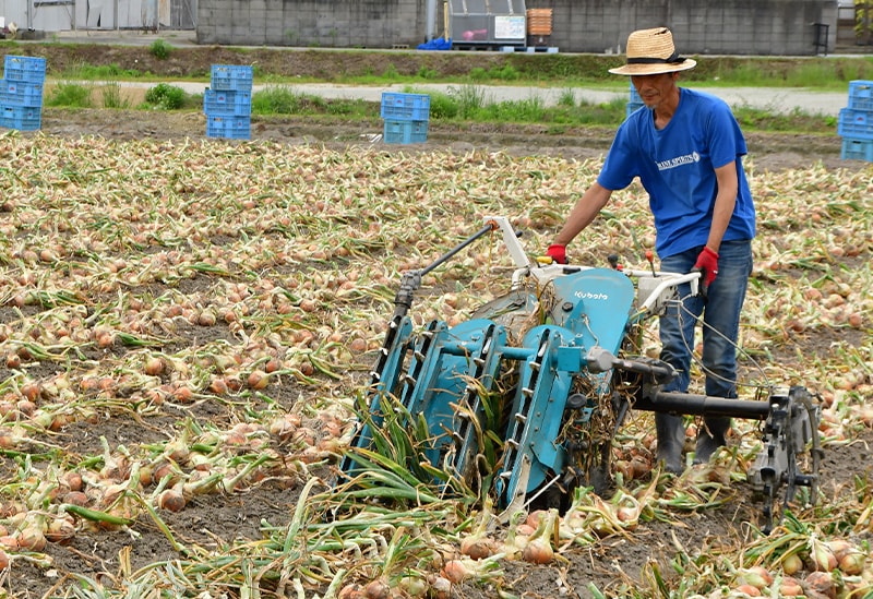 淡路島のたまねぎ屋さん　あさひ