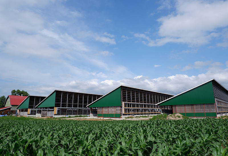 株式会社みのり牧場
