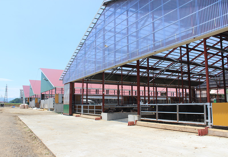 株式会社みのり牧場