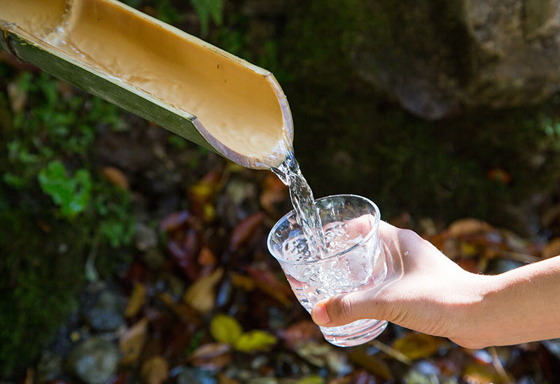 株式会社ぞっこん四国