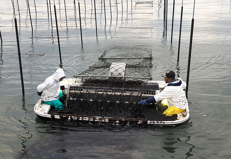 福岡有明海漁業協同組合連合会