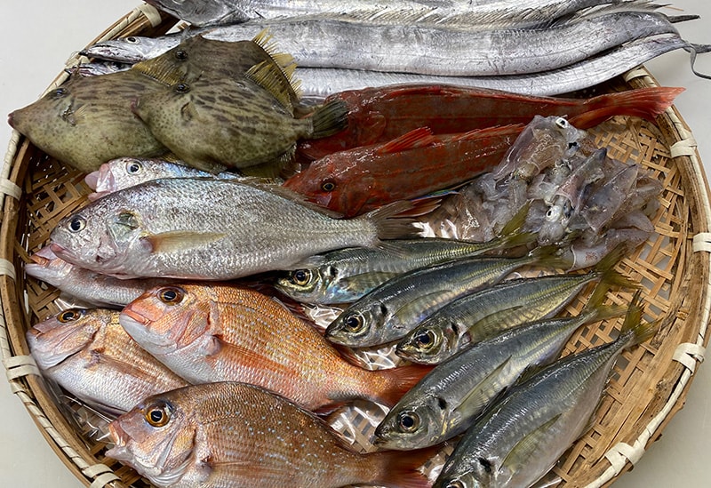 島のめぐみマルシェ