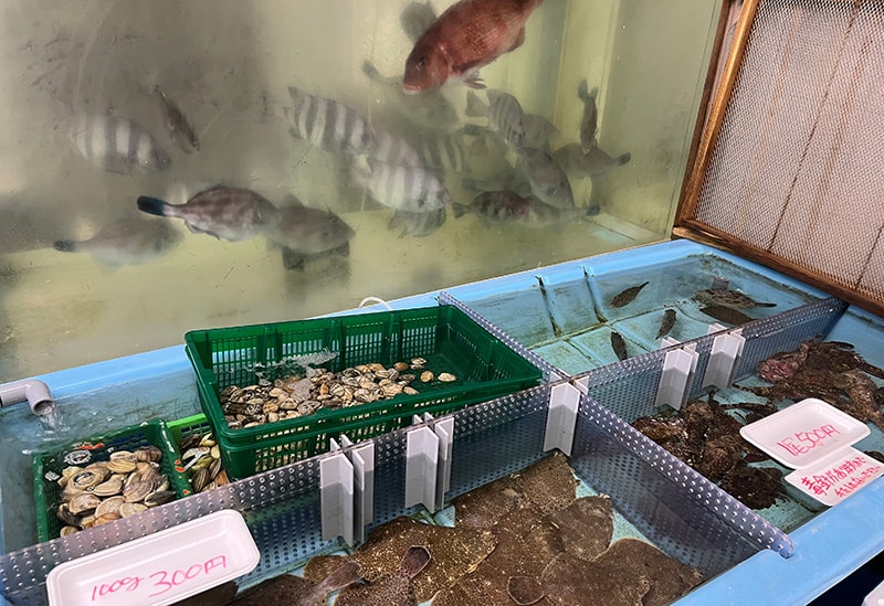 島のめぐみマルシェ