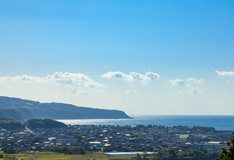 有限会社カネアリ水産