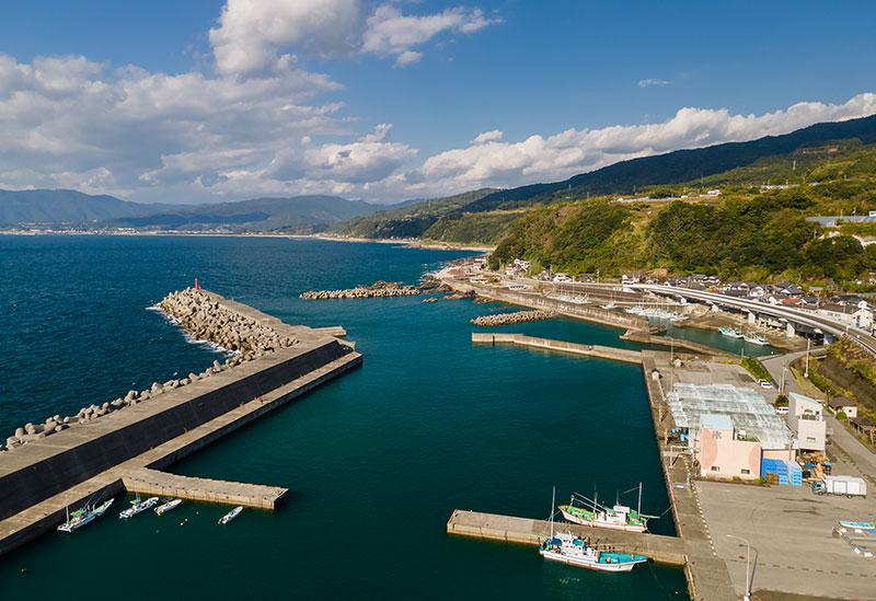 有限会社カネアリ水産