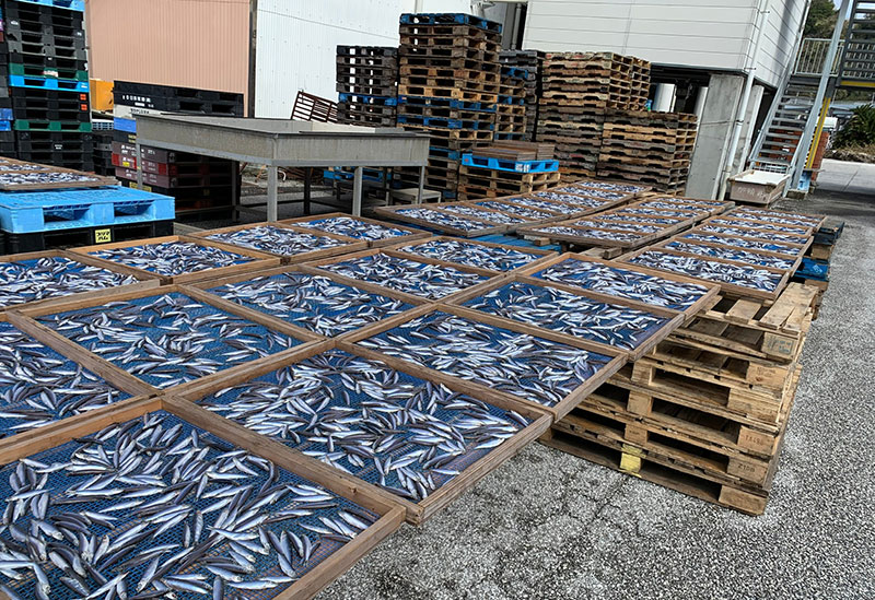 有限会社カネアリ水産