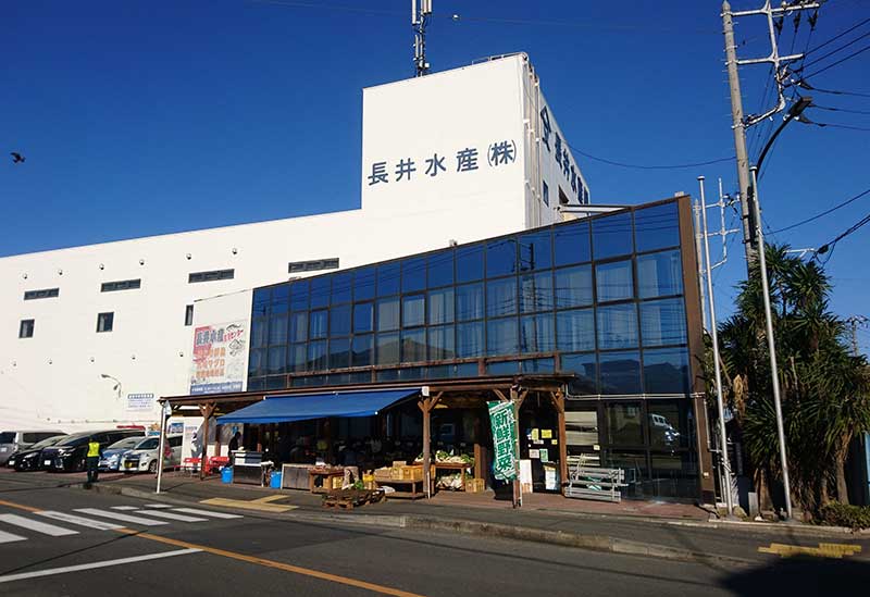 長井水産株式会社
