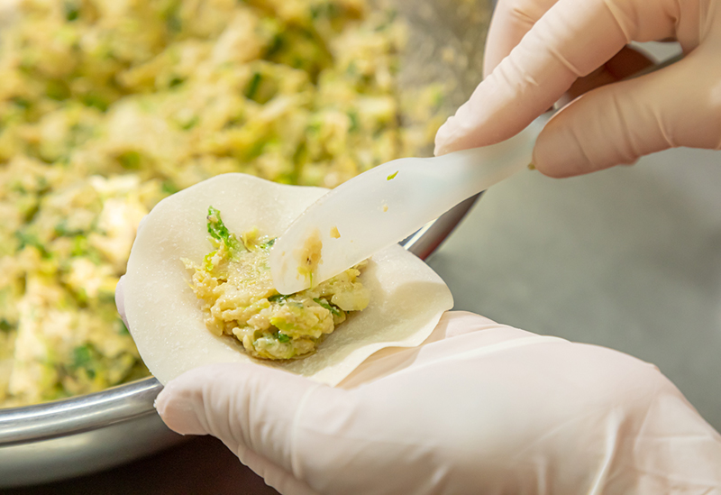 寺田さんちの健やか餃子