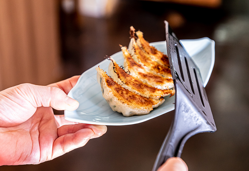 寺田さんちの健やか餃子