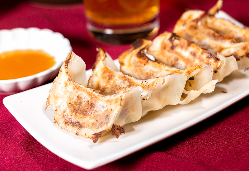 寺田さんちの健やか餃子