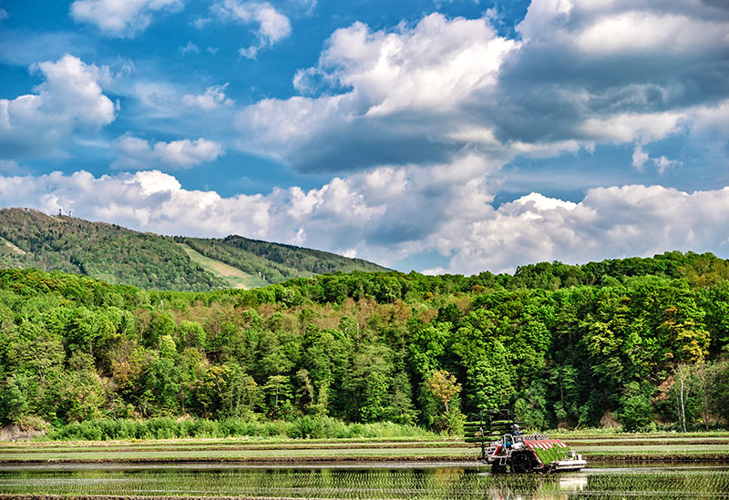 有限会社 菅原農場