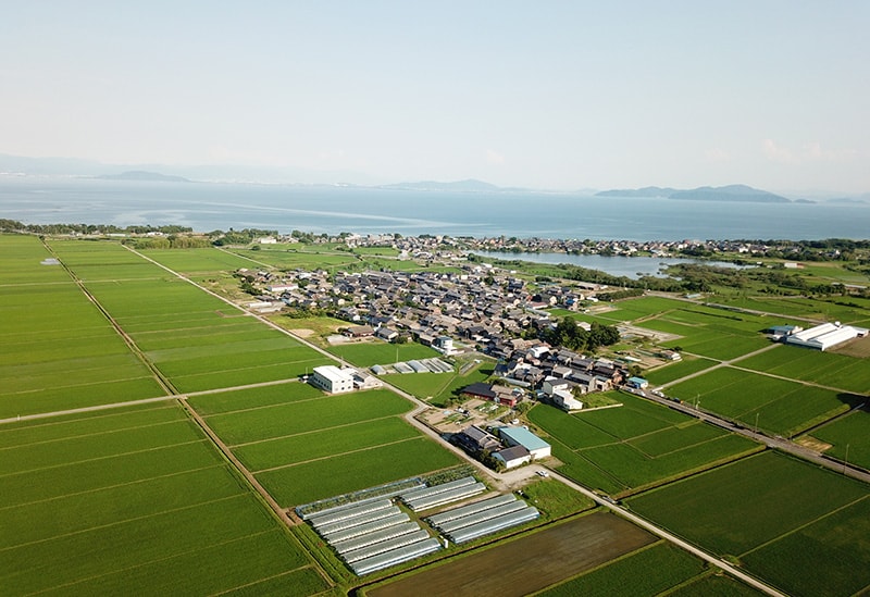 はなつむぎベリーファーム