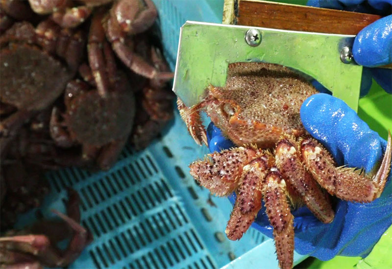 有限会社瀧源商店