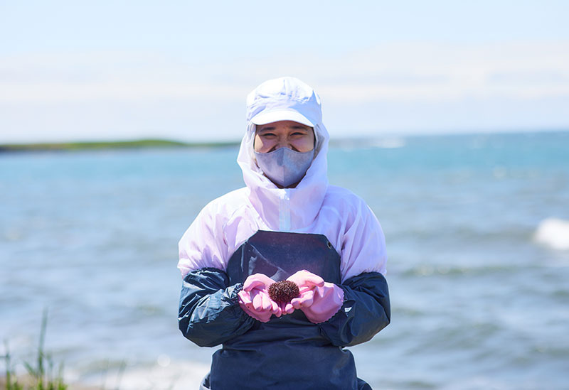 根室うにまつり