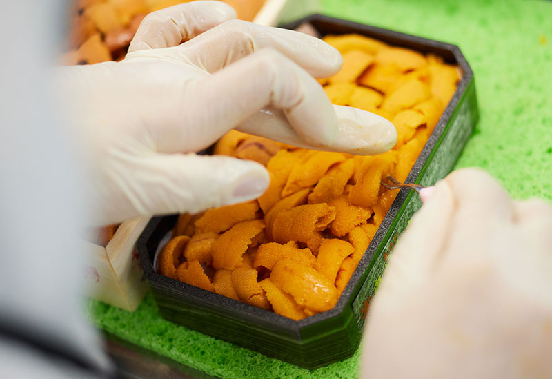 根室うにまつり