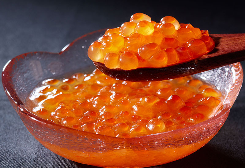 根室うにまつり