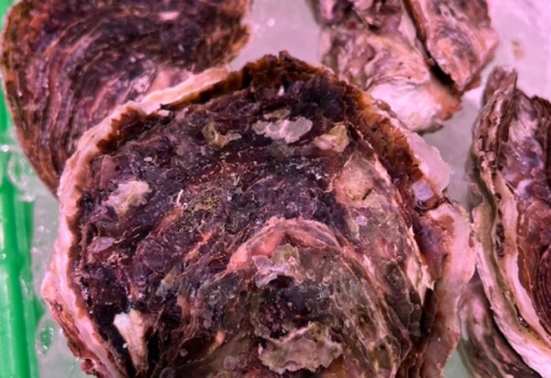 有限会社三光水産