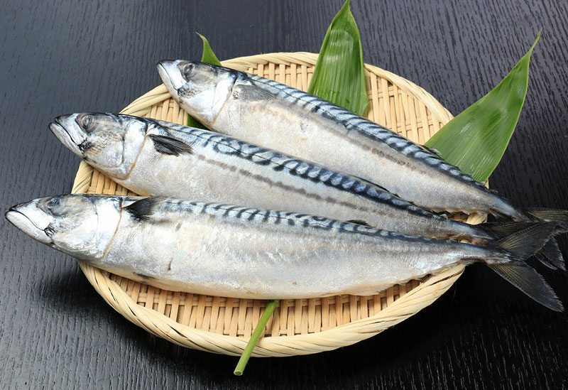 株式会社さかな屋本舗