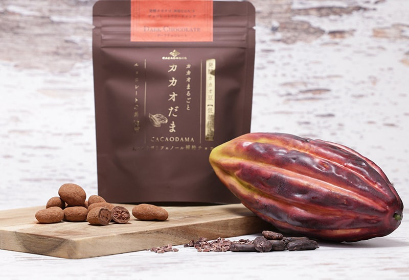 発酵カカオとチョコレート「カカオもの」