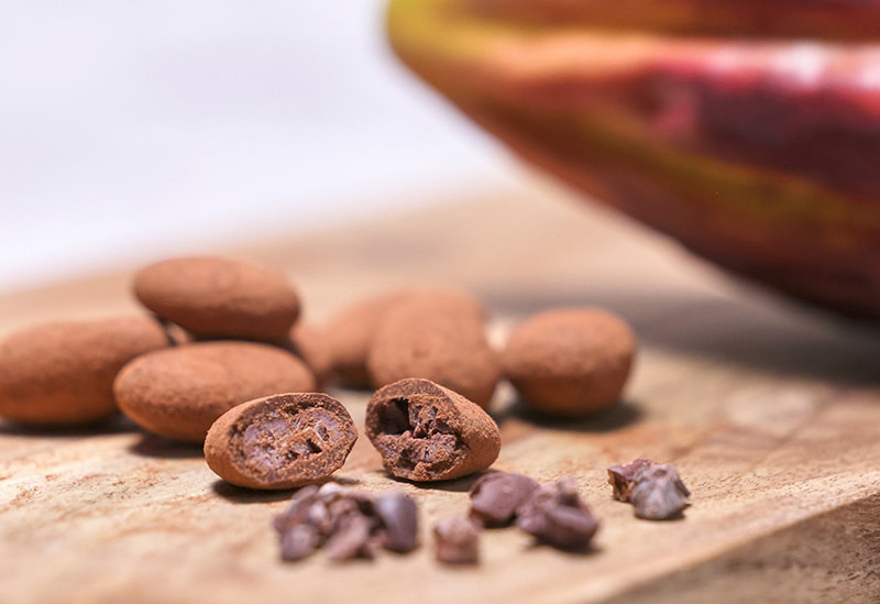 発酵カカオとチョコレート「カカオもの」