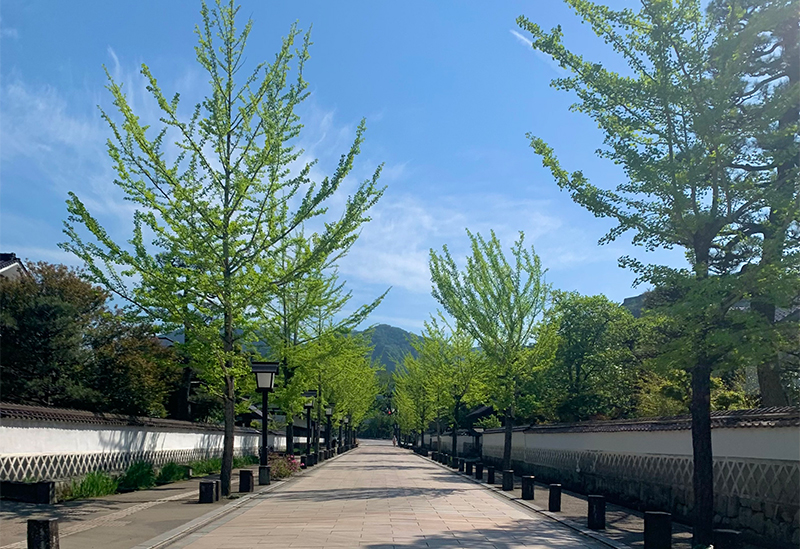 古橋酒造株式会社