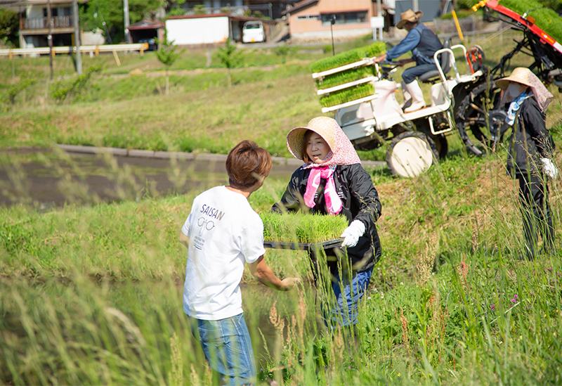 山城屋酒造株式会社