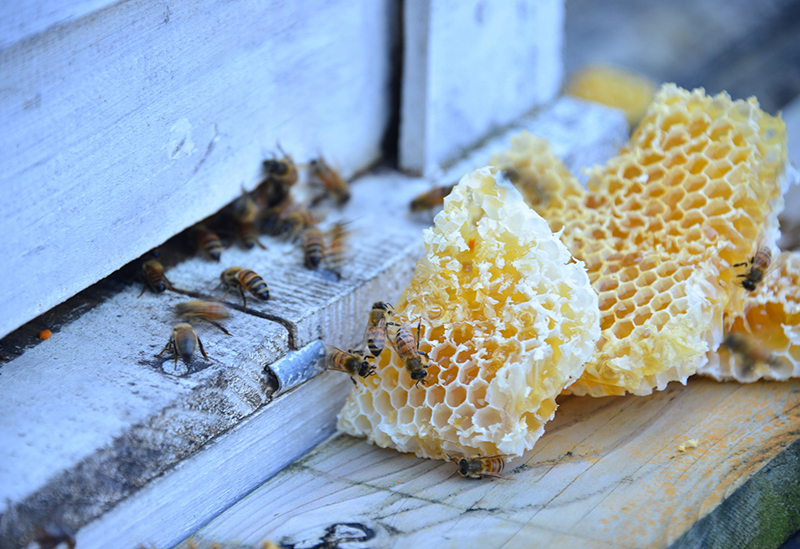 フローモ（FROMO）