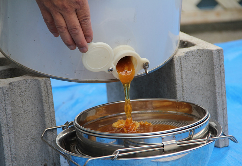 フローモ（FROMO）