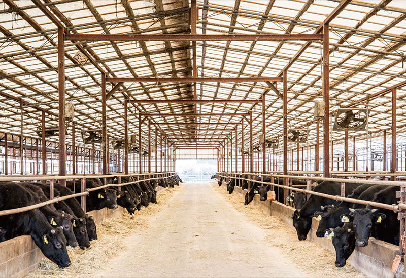 有限会社 有田牧畜産業