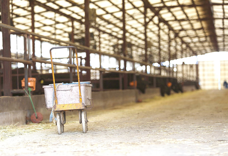 有限会社 有田牧畜産業