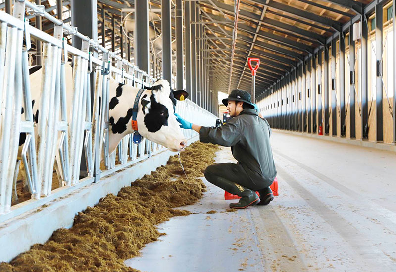 株式会社OSAKA FARMS