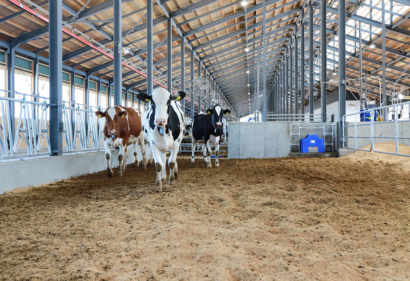 株式会社OSAKA FARMS