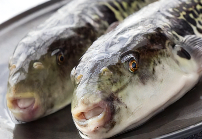 徳山ふくセンター