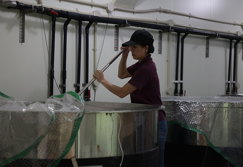 株式会社はつもみぢ