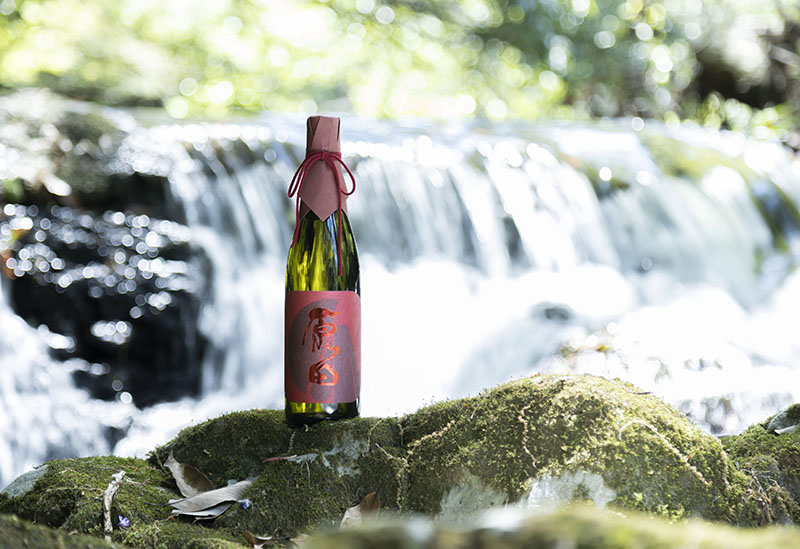 株式会社はつもみぢ