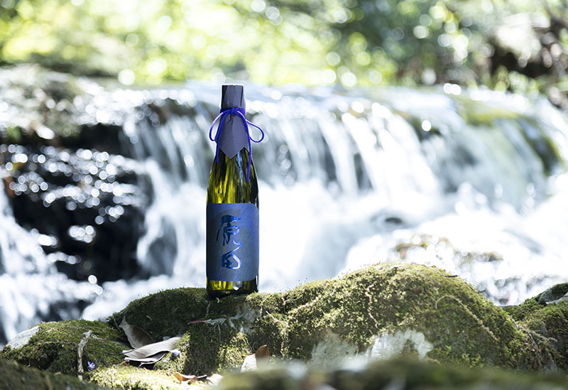 株式会社はつもみぢ