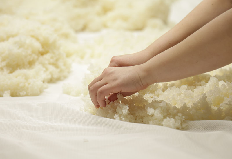 株式会社はつもみぢ